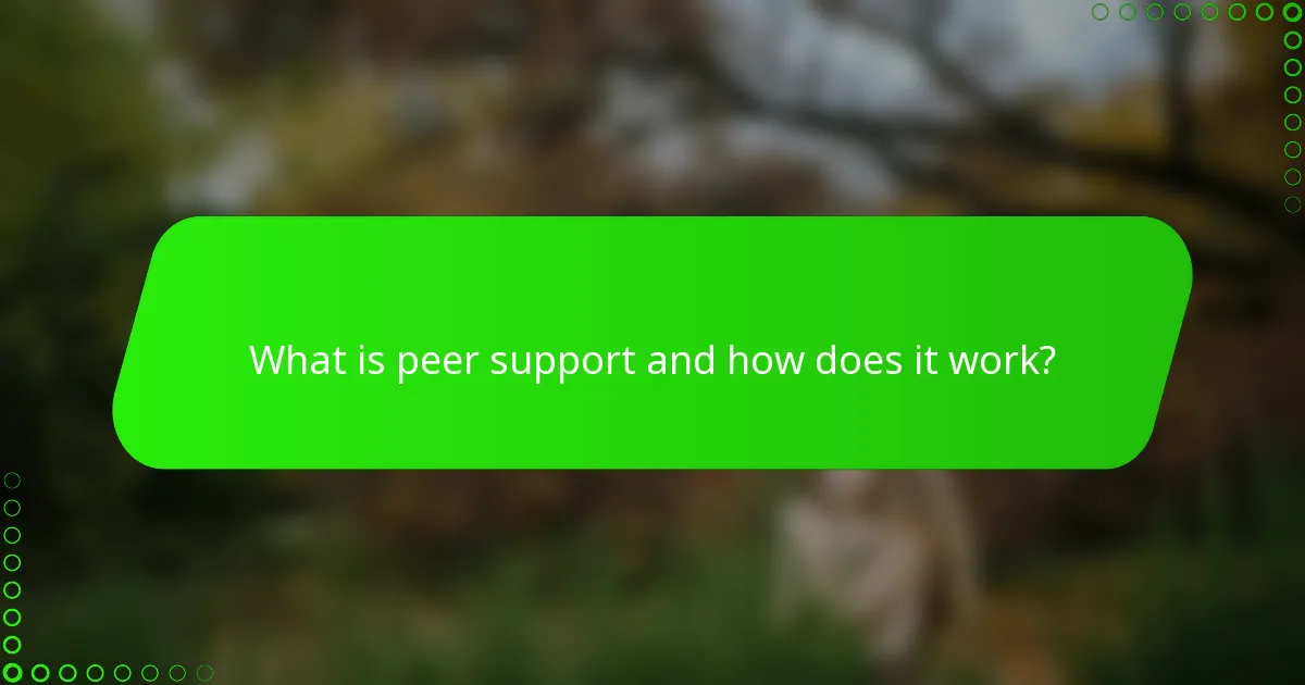 What is peer support and how does it work?
